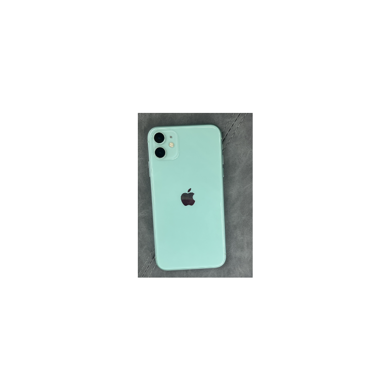 iPhone 11 Back Glasses